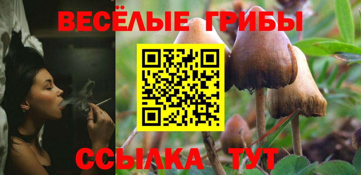 Галлюциногенные грибы GOLDEN TEACHER  Вход с VPN  Евпатория  Галлюциногенные грибы GOLDEN TEACHER 