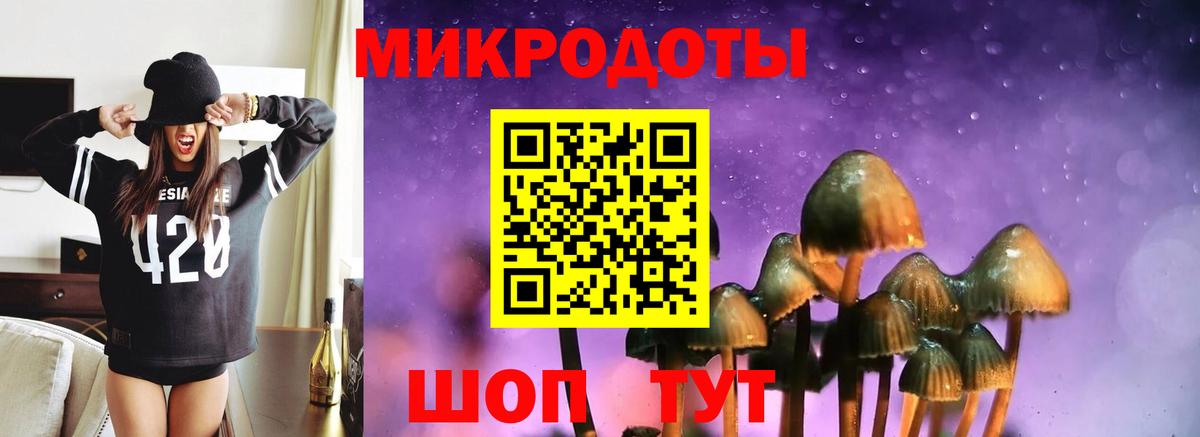 Галлюциногенные грибы мицелий Евпатория